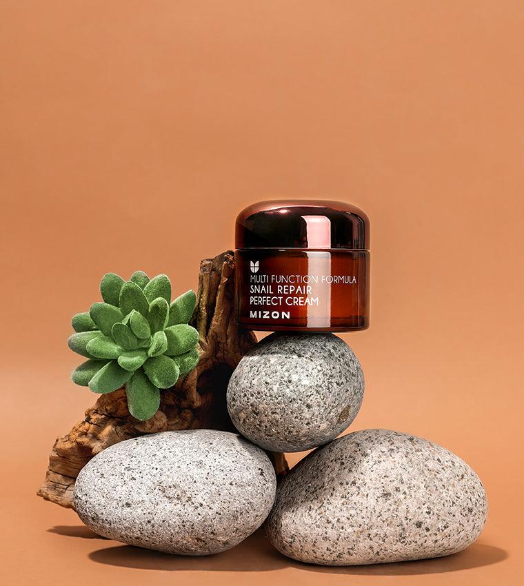 MIZON All In One Snail Repair Cream
