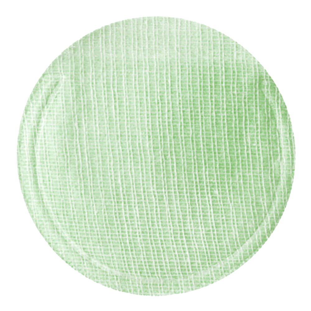 Neogen BIO-Peel Gauze Peeling, Tè Verde, 30 dischetti - persiincorea