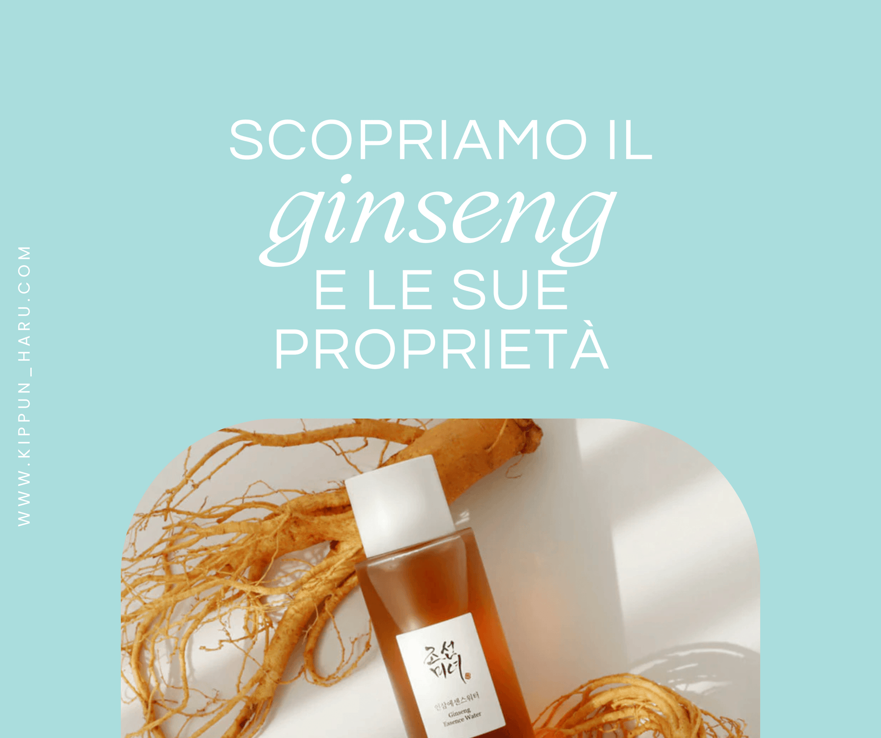 Scopriamo il ginseng e le sue proprietà