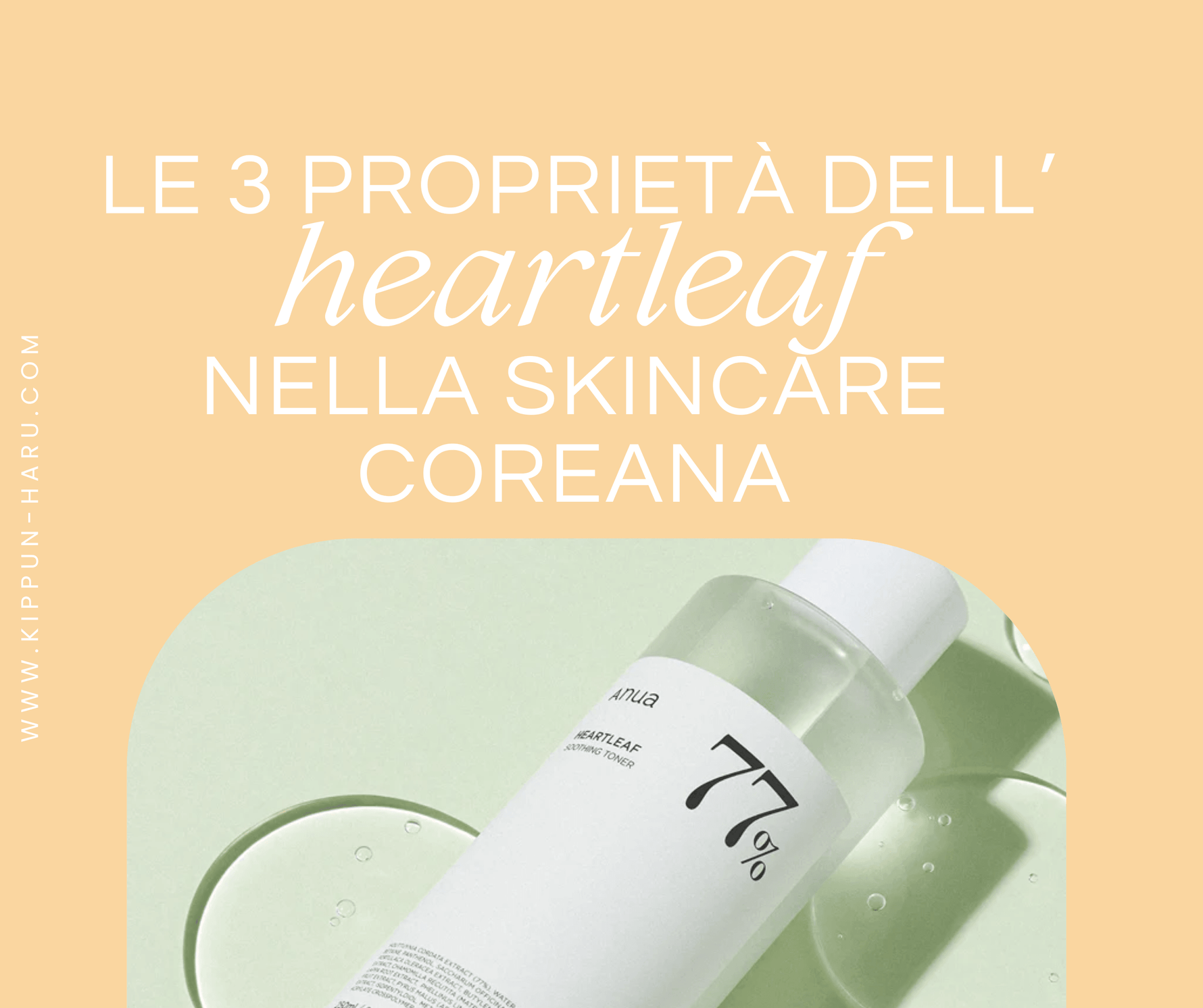 Le 3 proprietà dell'Heartleaf nella skincare coreana