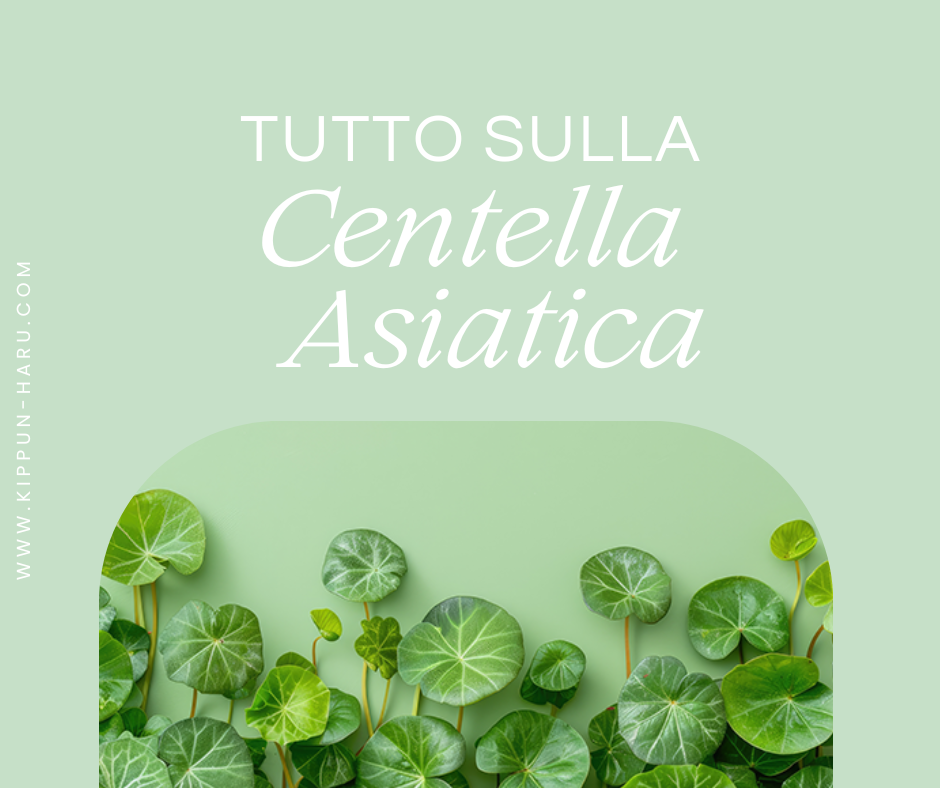 Tutto quello che c’è da sapere sulla Centella Asiatica