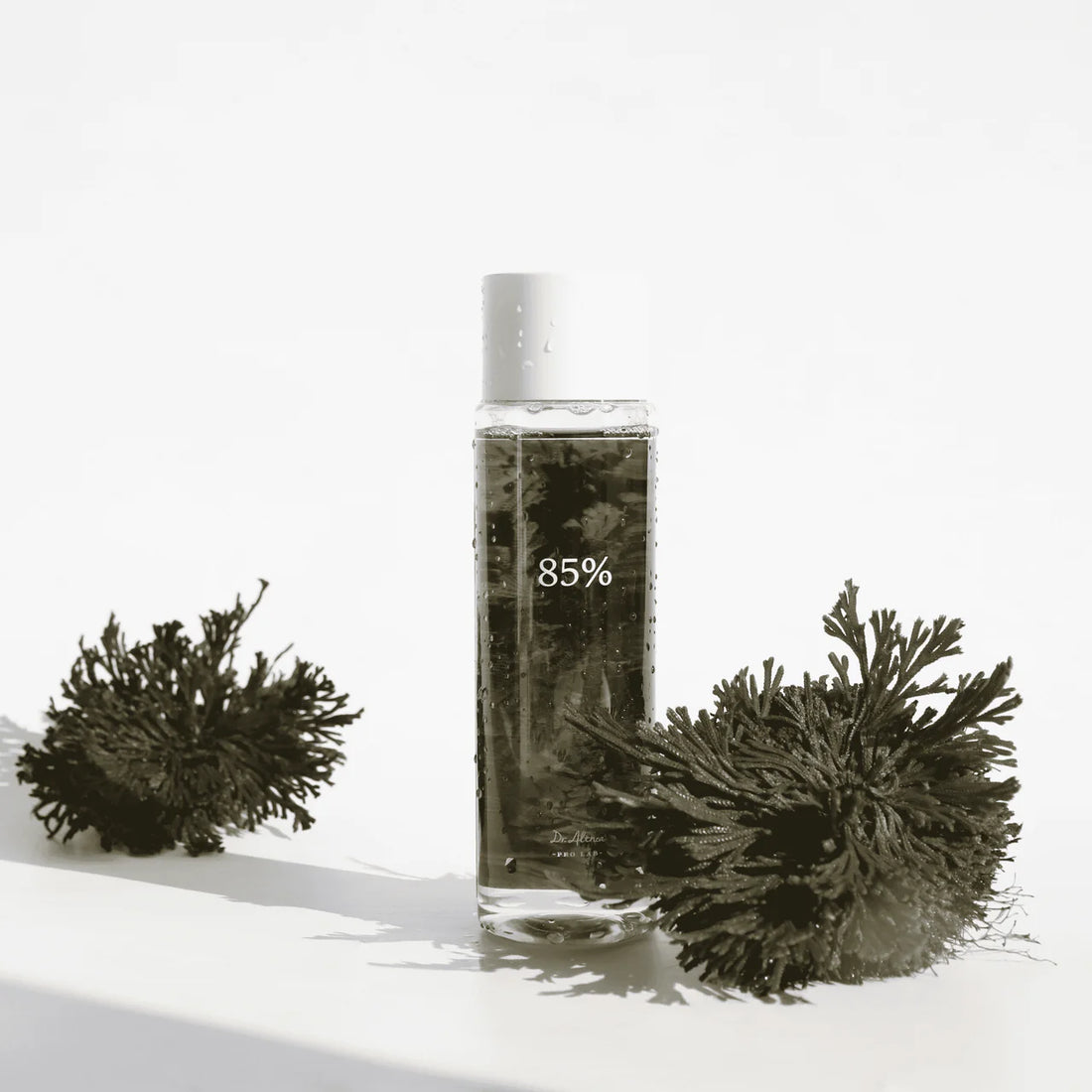 Dr. Althea Anastatica Skin Conditioning Toner, 250ml