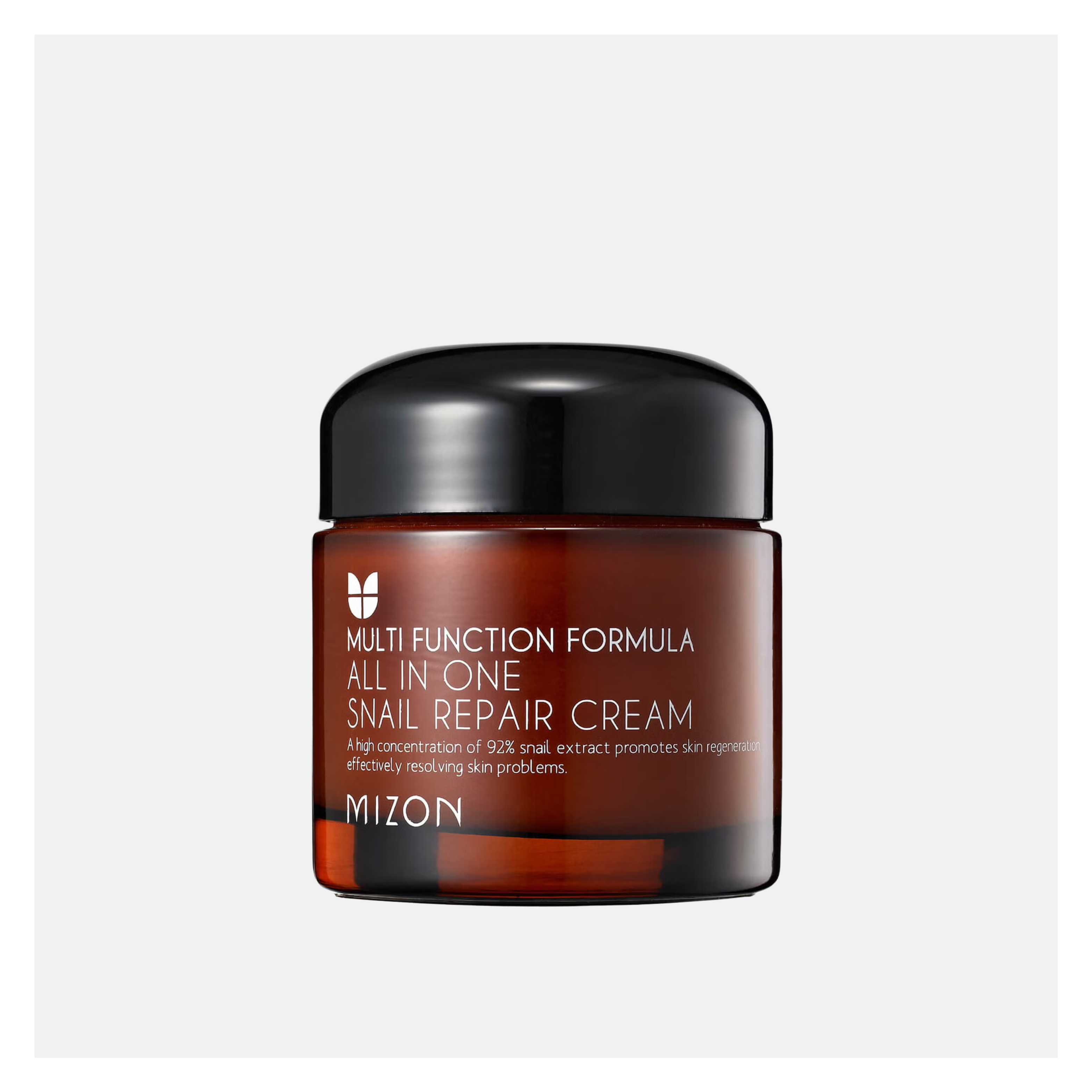 MIZON All In One Snail Repair Cream, 75ml