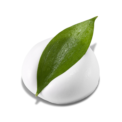 Neogen Real Fresh Foam, Tè Verde, 160ml - persiincorea